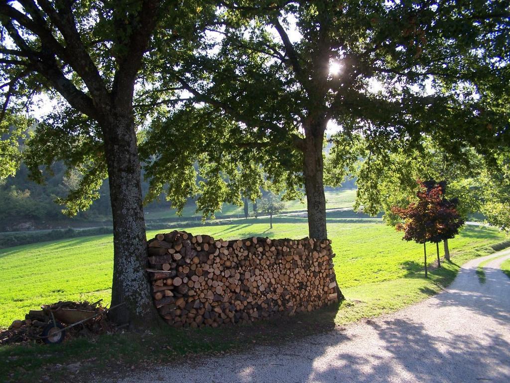 ピエーヴェ・サント・ステーファノ Agriturismo Fontandroneヴィラ エクステリア 写真